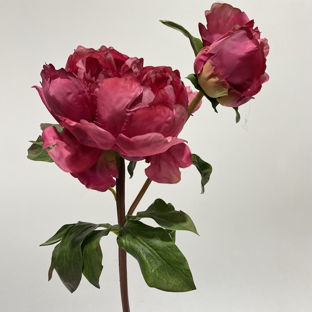 FLOWER, Peony Spray 55cm - Dark Pink